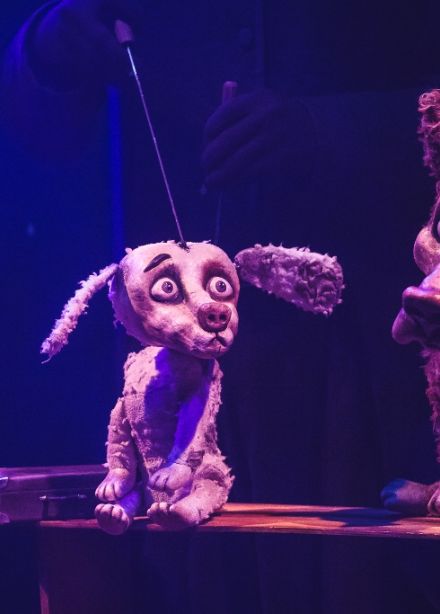 Бах-бах-бах